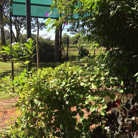 Iguazu Apart Hostel Puerto Iguazú Eksteriør billede